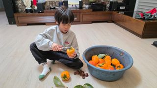 허인녕님의 감 · 영농일지 작성글 사진