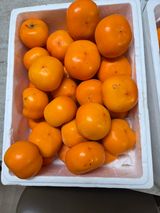 팜모닝 기타작물·영농일지 게시글 이미지