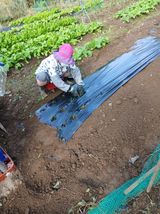 향양농장 사랑합니다님의 작성글 사진