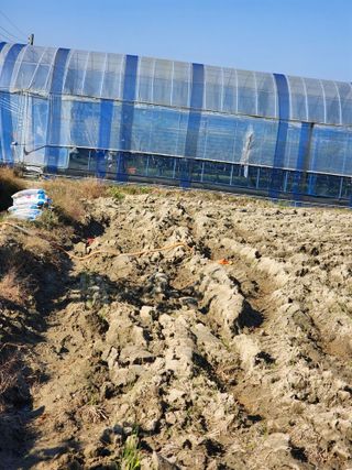 박종권님의 기타작물 · 영농일지 작성글 사진