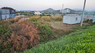 장정규님의 기타작물 · 영농일지 작성글 사진