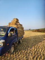 김저팔계님의 작성글 사진