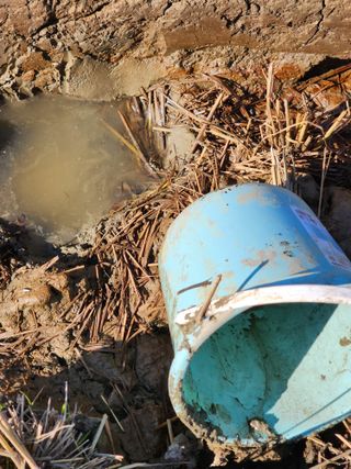 박종권님의 기타작물 · 영농일지 작성글 사진