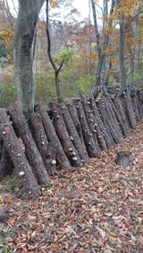 팜모닝 버섯·영농일지 게시글 이미지