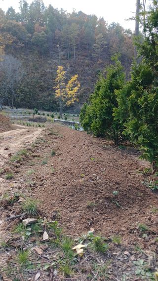 박준권님의 기타작물 · 영농일지 작성글 사진