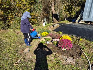 이준영님의 기타작물 · 영농일지 작성글 사진