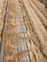 팜모닝 마늘·영농일지 게시글 이미지