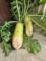 백현호님의 작성글 사진