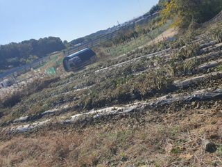 전주이상권님의 기타작물 · 영농일지 작성글 사진