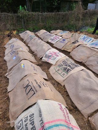 산곡동농장님의 감자 · 영농일지 작성글 사진
