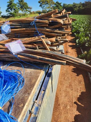 김저팔계님의 배추 · 영농일지 작성글 사진