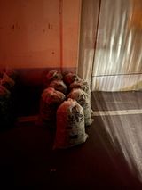 정의진님의 작성글 사진