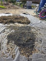 팜모닝 콩·영농일지 게시글 이미지