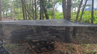 박상준님의 버섯 · 영농일지 작성글 사진