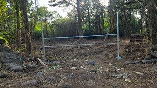 박상준님의 버섯 · 영농일지 작성글 사진