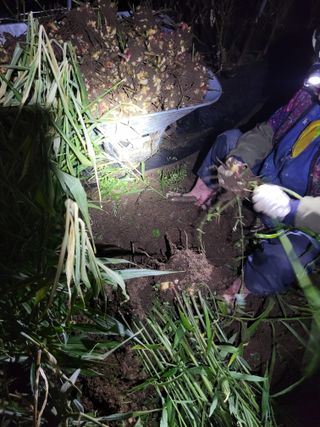 김종은님의 기타작물 · 영농일지 작성글 사진