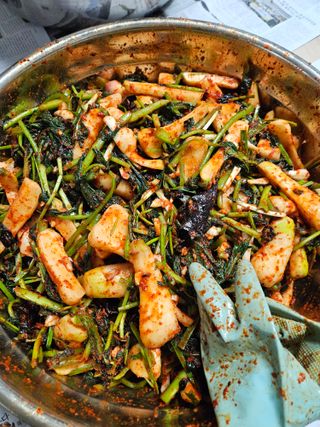 김태영님의 기타작물 · 영농일지 작성글 사진