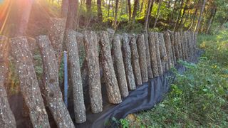 박상준님의 버섯 · 영농일지 작성글 사진