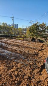 팜모닝 마늘·영농일지 게시글 이미지