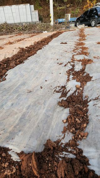 봉담고추님의 마늘 · 영농일지 작성글 사진