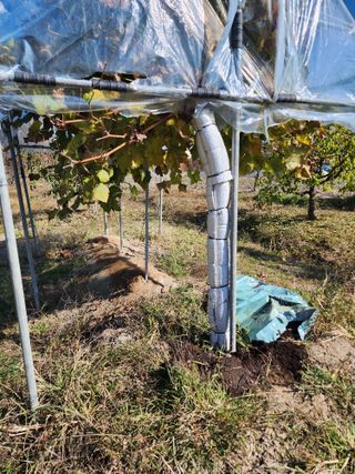 강동신님의 감 · 영농일지 작성글 사진