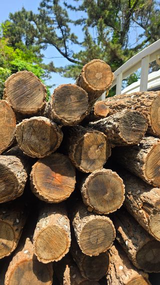 박상준님의 버섯 · 영농일지 작성글 사진