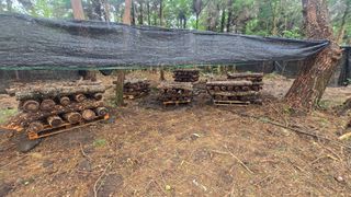 박상준님의 버섯 · 영농일지 작성글 사진