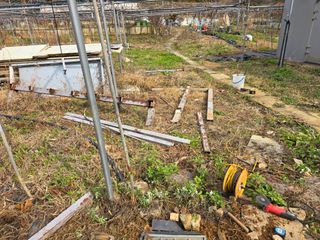 김종협님의 기타작물 · 영농일지 작성글 사진