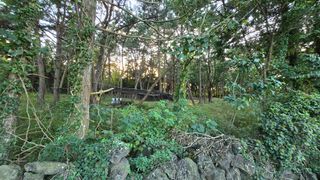 박상준님의 버섯 · 영농일지 작성글 사진