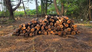 박상준님의 버섯 · 영농일지 작성글 사진