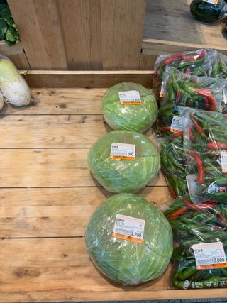 김영완님의 양배추 · 영농일지 작성글 사진