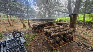 박상준님의 버섯 · 영농일지 작성글 사진