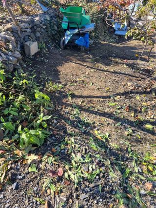 김용대님의 기타작물 · 영농일지 작성글 사진