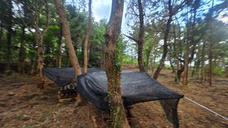 박상준님의 버섯 · 영농일지 작성글 사진