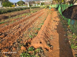 심기정님의 기타작물 · 영농일지 작성글 사진