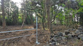 박상준님의 버섯 · 영농일지 작성글 사진