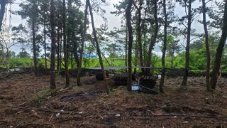 박상준님의 버섯 · 영농일지 작성글 사진