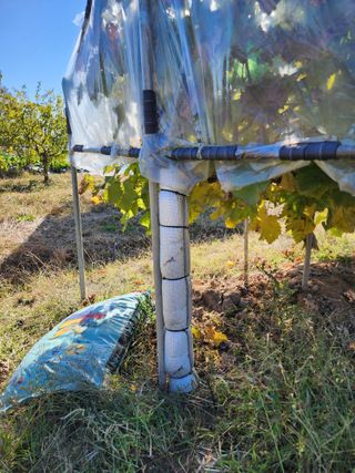 강동신님의 감 · 영농일지 작성글 사진