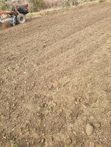 팜모닝 마늘·영농일지 게시글 이미지