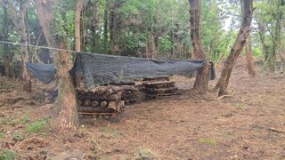 박상준님의 버섯 · 영농일지 작성글 사진