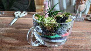 이상철님의 기타작물 · 영농일지 작성글 사진