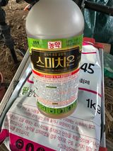 임영택님의 작성글 사진