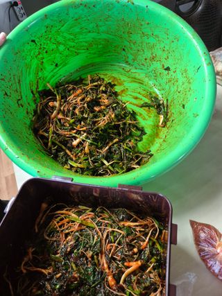 강지현님의 파 · 영농일지 작성글 사진