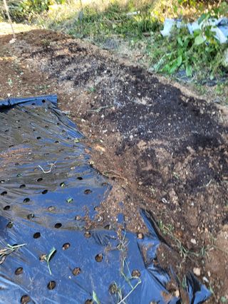 최병우님의 콩 · 영농일지 작성글 사진