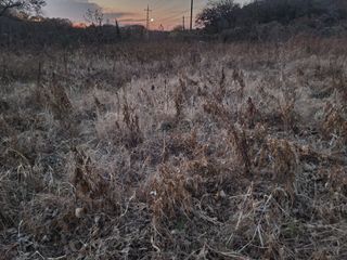 신승철님의 콩 · 영농일지 작성글 사진