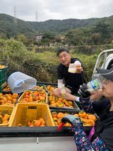 팜모닝 감·영농일지 게시글 이미지