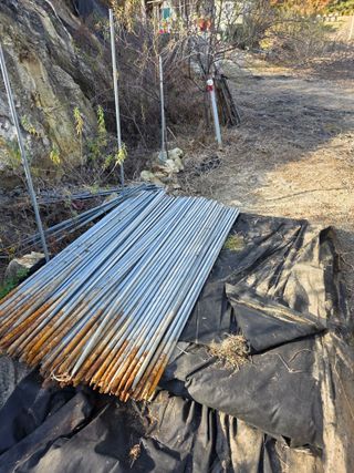 행운아님의 고추 · 영농일지 작성글 사진