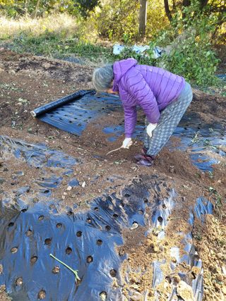 최병우님의 콩 · 영농일지 작성글 사진