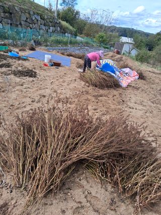 횡성농원님의 기타작물 · 영농일지 작성글 사진