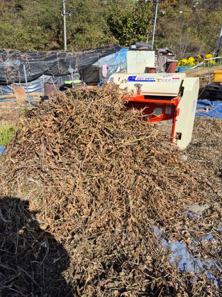 농부님.모두.모두힘님의 콩 · 영농일지 작성글 사진